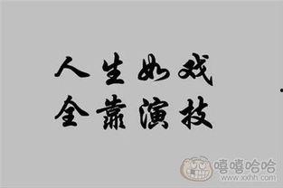 人生如戏在线观看,一场精彩纷呈的人间喜剧